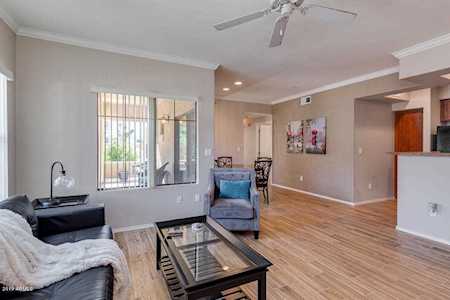 295 N Rural Road #173 Chandler, AZ 85226