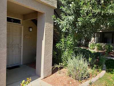 3830 E Lakewood Parkway #1029 Phoenix, AZ 85048