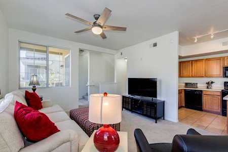 18250 N Cave Creek Road #158 Phoenix, AZ 85032
