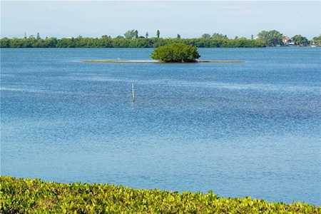 2424 Placida Road Englewood, FL 34224