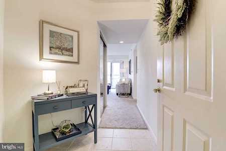 2121 Jamieson Ave #502 Alexandria, VA 22314