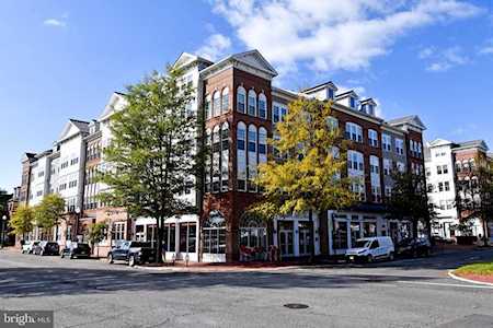 4950 Brenman Park Dr #202 Alexandria, VA 22304