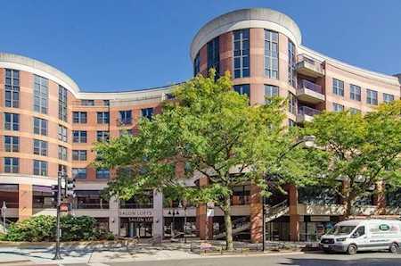350 W Belden Ave #406 Chicago, IL 60614