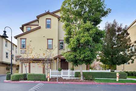 210 Peppermint Tree Terrace Sunnyvale, CA 94086