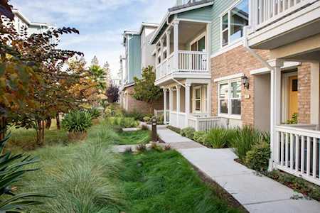 131 Maidenhair Terrace Sunnyvale, CA 94086