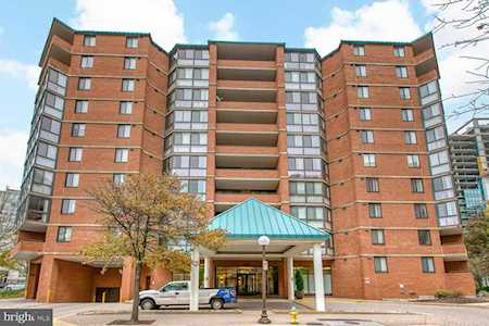 1001 Randolph St #404 Arlington, VA 22201