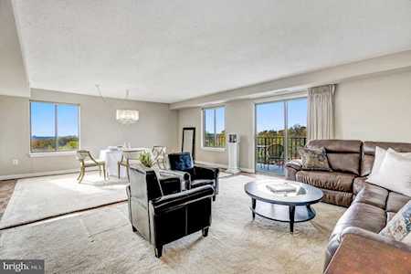 3101 New Mexico Ave NW #851 Washington, DC 20016