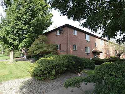 60 Bryon Road #1 Boston, MA 02467