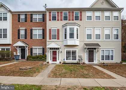 2593 Brown Alder Ct Odenton, MD 21113