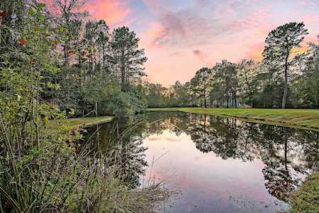 6125 Bay Pond Rd Ravenel, SC 29470