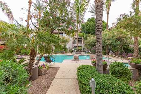 4343 N 21st Street #136 Phoenix, AZ 85016