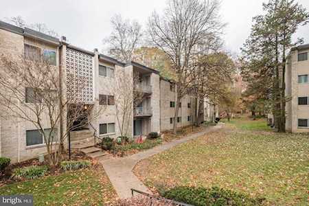 12405 Braxfield Ct #499 Rockville, MD 20852
