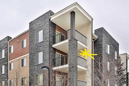 7110 80 Avenue NE #323 Calgary, AB T3J 0N4
