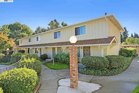 540 La Copita Court San Ramon, CA 94583