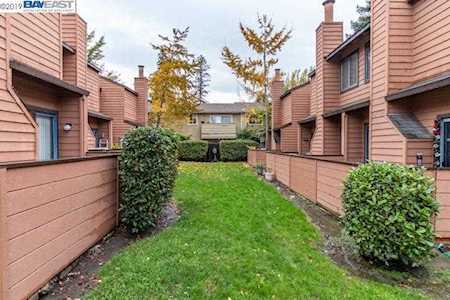 26594 Sunvale Ct Hayward, CA 94544