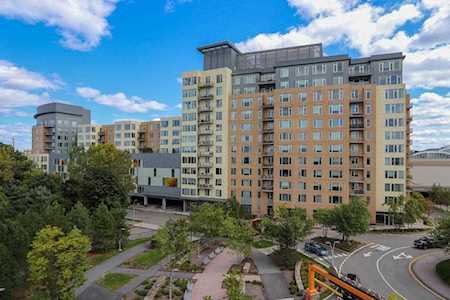 10 Nouvelle Way #S911 Natick, MA 01760