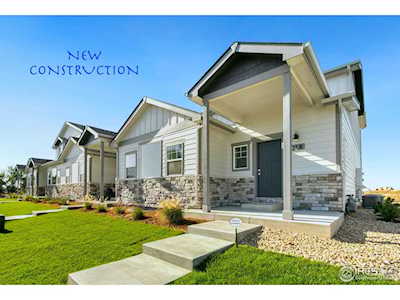 290 E Chestnut St Windsor, CO 80550