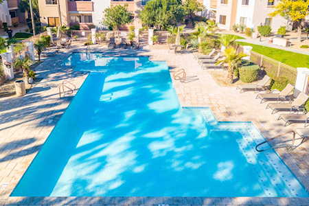 10030 W Indian School Road #246 Phoenix, AZ 85037