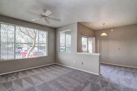 1720 E Thunderbird Road #1119 Phoenix, AZ 85022