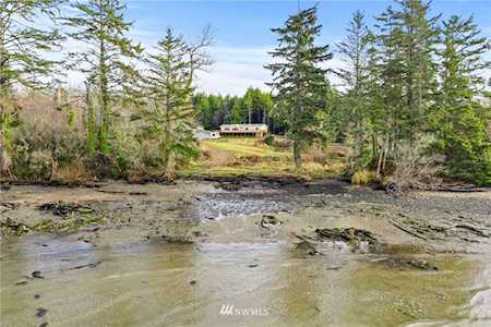 20 Rhodesia Beach Rd South Bend, WA 98586