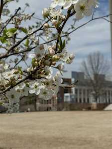 2441 Campus Shore Drive #209 Raleigh, NC 27606