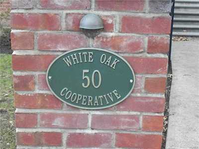 50 White Oak St #2B New Rochelle, NY 10801