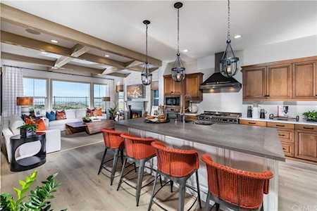 1573 S Viejo Ridge Drive Lake Forest, CA 92610