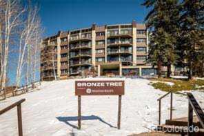 1995 Storm Meadows Dr #204 Steamboat Springs, CO 80487