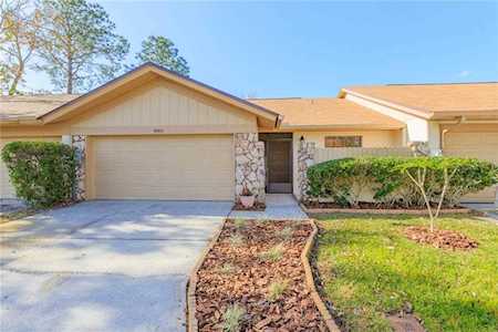 4065 Shoreside Circle Tampa, FL 33624