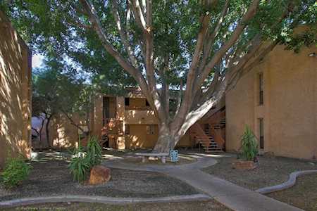 3131 W Cochise Drive #231 Phoenix, AZ 85051
