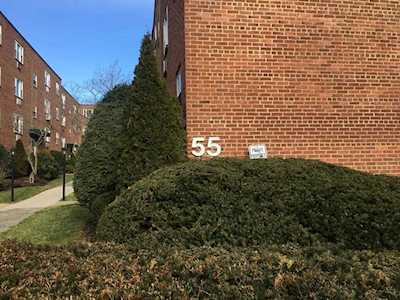 55 Colborne Rd #B1 Boston, MA 02135