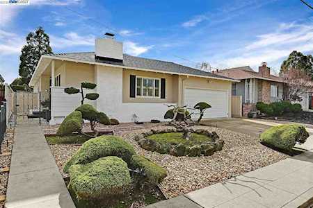 3013 Greenview Drive Castro Valley, CA 94546