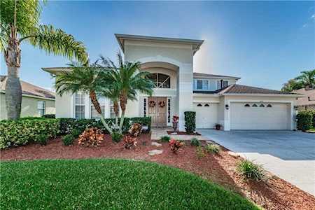 8707 Lovas Trail Trinity, FL 34655