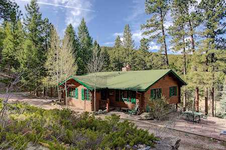 333 Red Lily Place Evergreen, CO 80439