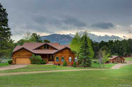 21505 Spring Creek Rd Buffalo Creek, CO 80425
