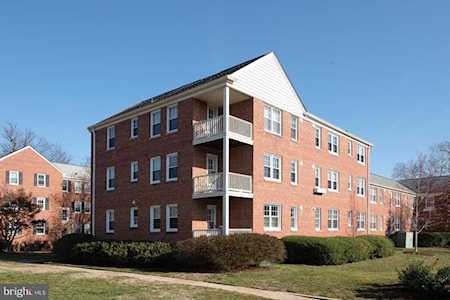 6616 Wakefield Dr #C2 Alexandria, VA 22307