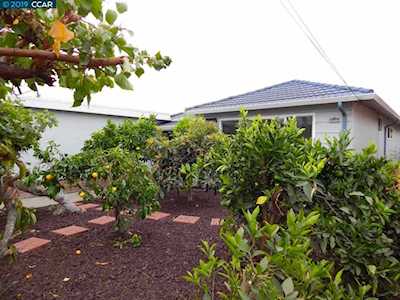 21029 San Miguel Ave Castro Valley, CA 94546