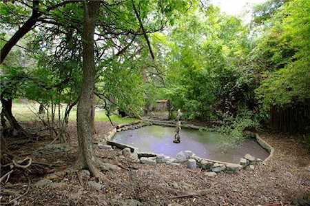 11013 Oak Knoll Dr Austin, TX 78759
