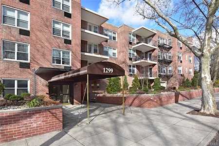 1299 Palmer Ave #137 Mamaroneck, NY 10538