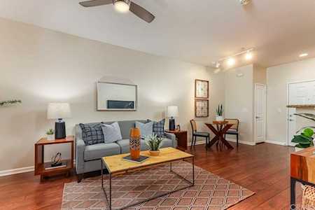 1801 E Katella Avenue #1065 Anaheim, CA 92805