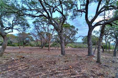 002 Driftwood Valley Trail Driftwood, TX 78619