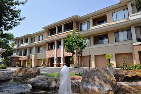 2989 N 44th Street #1002 Phoenix, AZ 85018