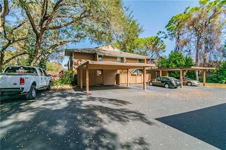 2304 E Lennox Road #2304 Palm Harbor, FL 34683
