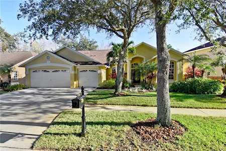9107 Woodbay Drive Tampa, FL 33626
