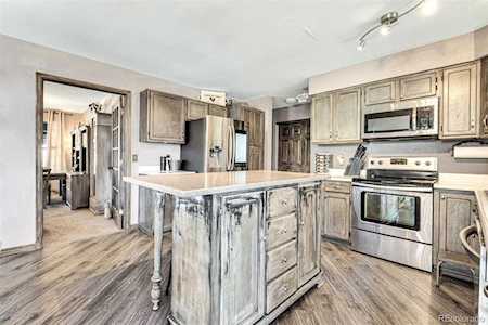 1744 Brookside Dr Highlands Ranch, CO 80126