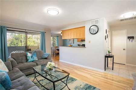25166 Birch Grove Ln Lake Forest, CA 92630