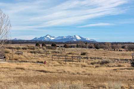 TBD S Pine Street Norwood, COLORADO 81423