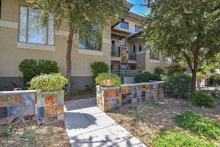 815 E Rose Lane #137 Phoenix, AZ 85014