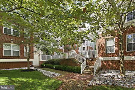 5108 Donovan Dr #405 Alexandria, VA 22304