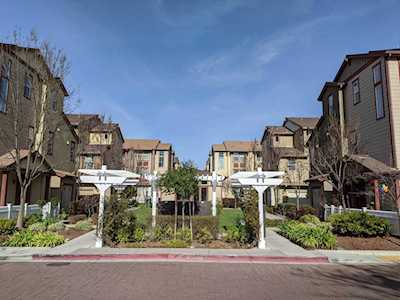 215 Peppermint Tree Ter 1 Sunnyvale, CA 94086